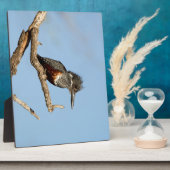 Giant Kingfisher Fotoplaat (Zijkant)