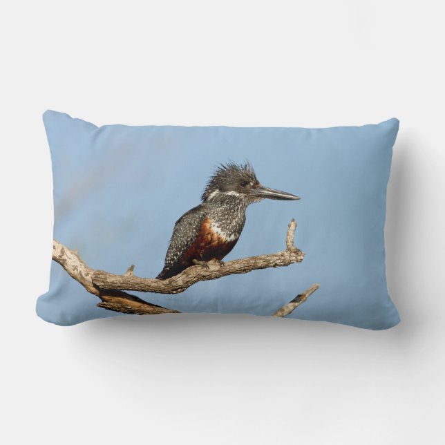 Giant Kingfisher Kussen (Voorkant)