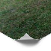 Giant/Lord Derby's Eland-jonge stier Poster (Hoek)