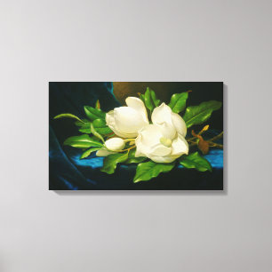 Giant Magnolias op een blauw fluwelen doek (Heade) Canvas Afdruk