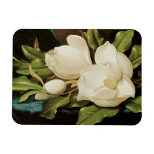 Giant Magnolias op een blauwe vlinderkast van MJ H Magneet