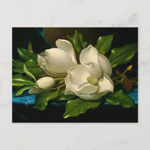 Giant Magnolias op een Blue Velvet Cloth Briefkaar Briefkaart