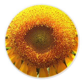 Giant mammoth yellow sunflower keramische knop