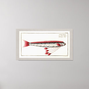 Giant Oarfish Print