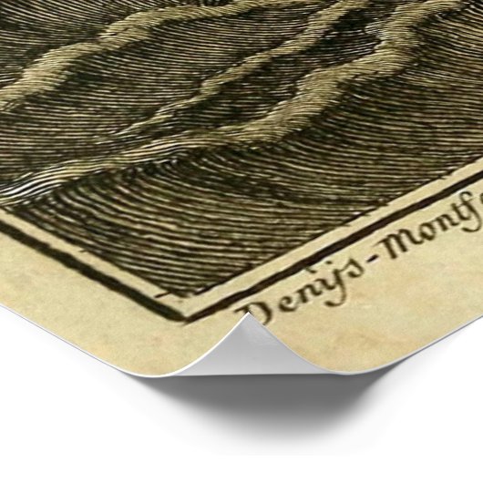 Giant Octopus  1801 Etching Poster (Hoek)