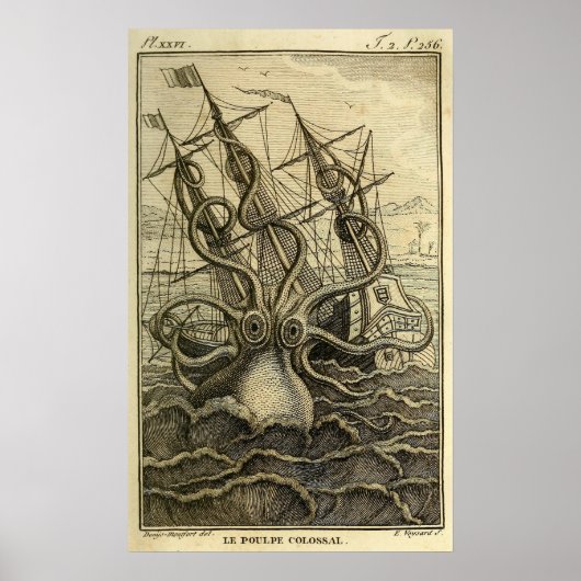 Giant Octopus  1801 Etching Poster (Voorkant)