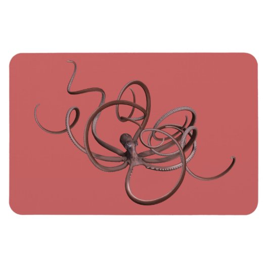 Giant Octopus Magneet (Horizontaal)