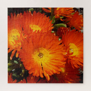Giant Oranje Daisies, Legpuzzel
