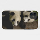 Giant panda babies (Ailuropoda melanoleuca) 2 Case-Mate iPhone Case (Achterkant (horizontaal))