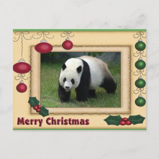 Giant Panda Bear & Baby Panda Christmas Card Feestdagenkaart