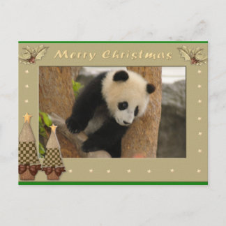 Giant Panda Bear & Baby Panda Christmas Card Feestdagenkaart