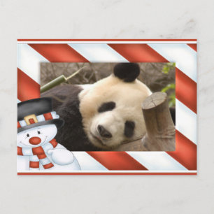 Giant Panda Bear & Baby Panda Christmas Card Feestdagenkaart