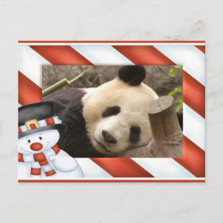 Giant Panda Bear & Baby Panda Christmas Card Feestdagenkaart