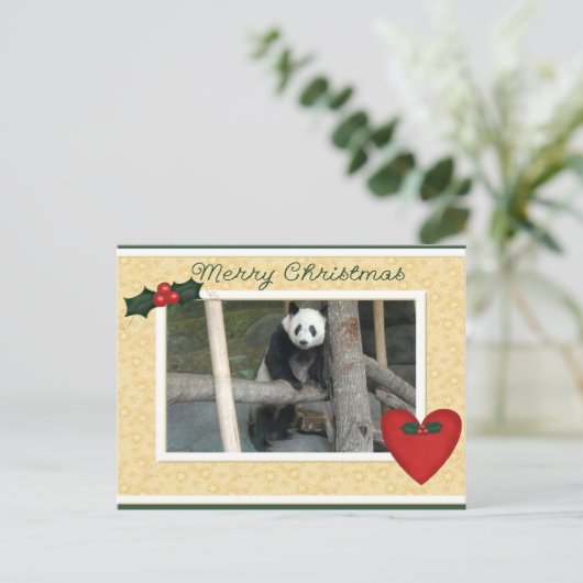Giant Panda Bear or Baby Panda Christmas Postcard Feestdagenkaart (Staand voorkant)