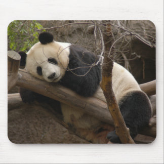 Giant Panda Beer & Baby Panda Mousepad Muismat