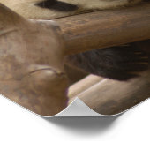 Giant Panda Beer & Baby Panda Poster (Hoek)