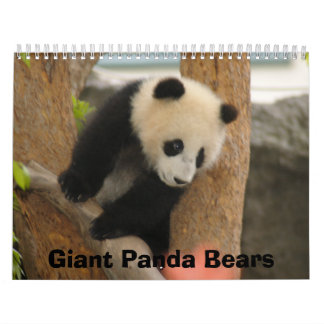 Giant Panda Beer Calendar, Giant Panda Beren Kalender