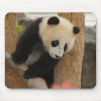 Giant Panda Beer Mousepad Muismat