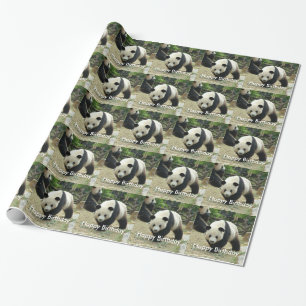 Giant panda, blije verjaardag, kinder cadeau cadeaupapier
