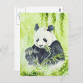 Giant panda briefkaart (Voorkant / Achterkant)