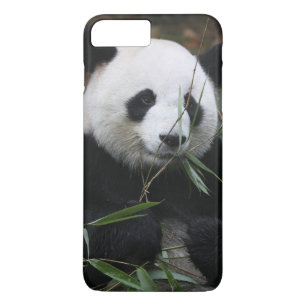 Giant panda 	iPhone 8 plus / 7 plus hoesje