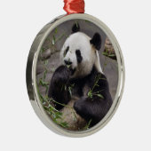 Giant panda eating bamboo metalen ornament (Rechts)