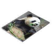 Giant panda eating bamboo notitieboek (Linkerzijde)