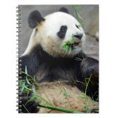 Giant panda eating bamboo notitieboek (Voorkant)