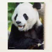 Giant Panda Eating Bamboo Planner (Achterkant)