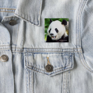 Giant Panda Eating Bamboo Vierkante Button 5,1 Cm