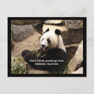 Giant panda greetings card briefkaart