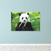 Giant Panda Holding Bamboo Canvas Afdruk (Insitu (Houten vloer))