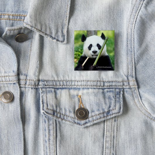 Giant Panda Holding Bamboo Vierkante Button 5,1 Cm (In situ)