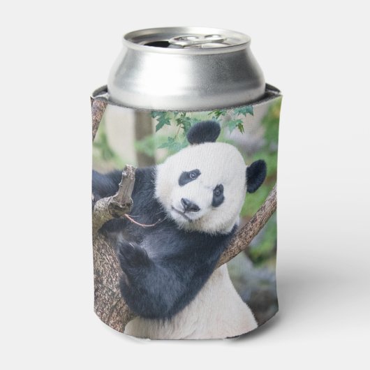 Giant Panda in een Boom-Koelbox Blikjeskoeler (Blikje Voorkant)