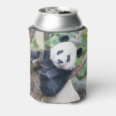Giant Panda in een Boom-Koelbox Blikjeskoeler (Blikje Achterkant)
