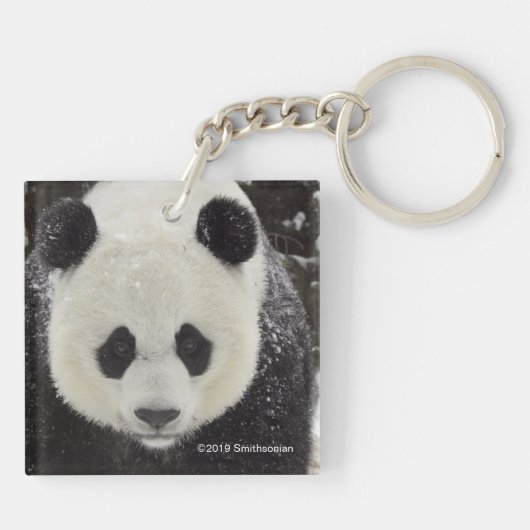 Giant Panda in Snow Sleutelhanger (Achterkant)
