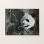 Giant panda legpuzzel (Horizontaal)