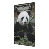 Giant panda mini klembord (Angled2)