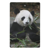 Giant panda mini klembord (Achterkant)
