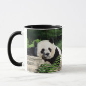 Giant Panda Napping Mok (Links)
