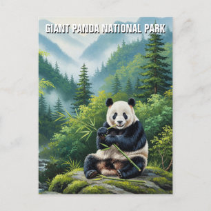 Giant Panda Nationaal Park China Reizen Briefkaart