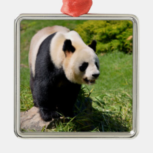 Giant panda op een steen metalen ornament