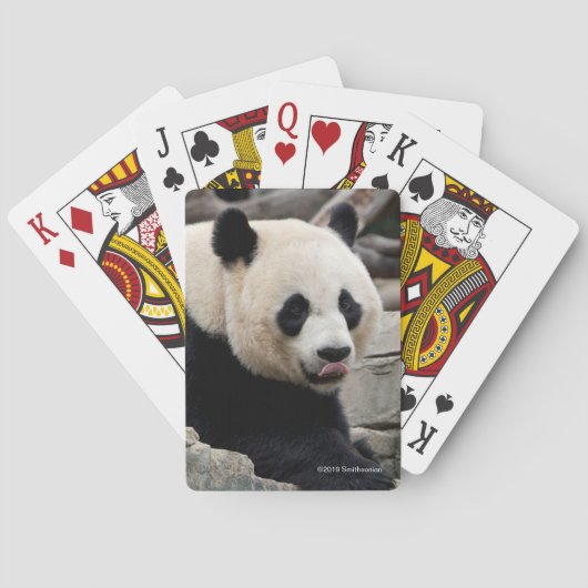 Giant Panda op Rocks Pokerkaarten (Achterkant)