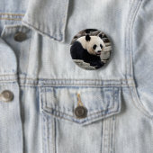 Giant Panda op Rocks Ronde Button 5,7 Cm (In situ)