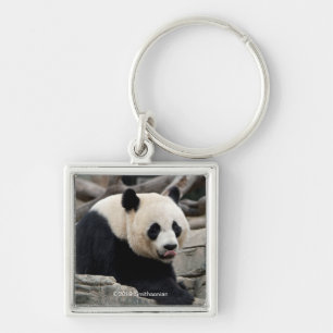 Giant Panda op Rocks Sleutelhanger