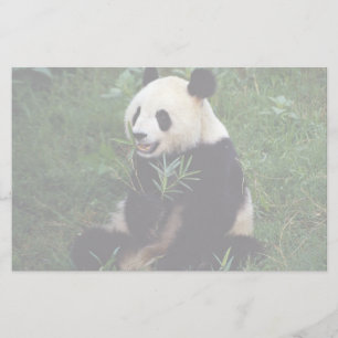 Giant panda, provincie Sichuan, China Briefpapier