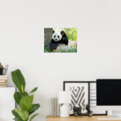 Giant Panda rusteert tegen bomen Poster (Thuiskantoor)