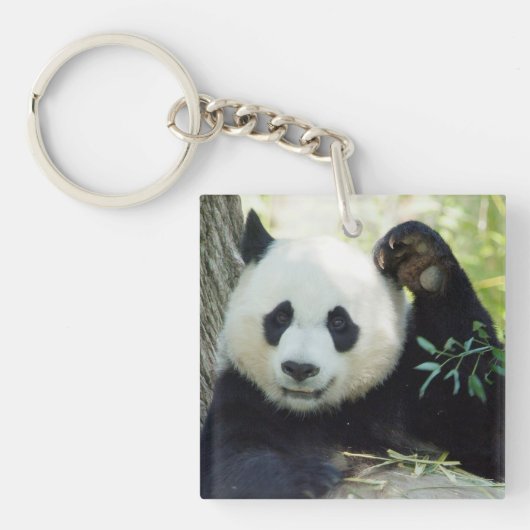 Giant Panda rusteert tegen bomen Sleutelhanger (Voorkant)