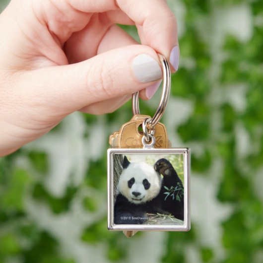 Giant Panda rusteert tegen bomen Sleutelhanger (Hand)