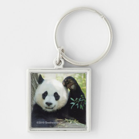 Giant Panda rusteert tegen bomen Sleutelhanger (Voorkant)